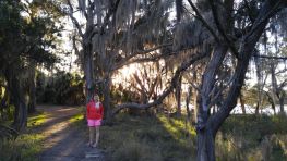 Skidaway Island Forest.