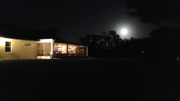Lanai-ing Around Under a Florida Moon.