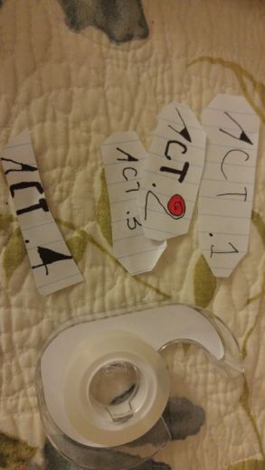 Backstage Puppet Show Behind-the-Scenes.