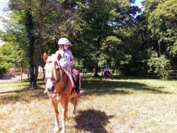horseback riding allegan