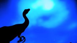 Amazing graphics and a lot of fun. Jurassic World Xbox Dino