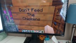 Minecraft rules. Don't Feed the Chickens