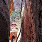 Zion National Park Zion National Park Lodge roadtrip narrows