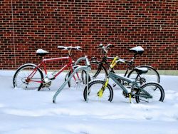 Bikes left in the snow, Holland, Michigan. bikes in the snow