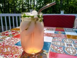Always refreshing, rhubarb water with anything. Yum. rhubarb water and gin and herbs