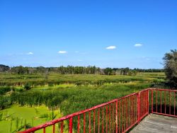 Bike ride through Window on the Waterfront in Holland, Michigan Window on the Waterfront Holland MI