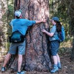 Ponderosa State Park. ponderosa state park treehuggers