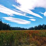 Soon to become a meadow. Ponderosa State Park. ponderosa sp mccall marsh
